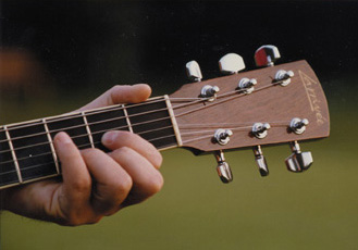 larrivee guitar