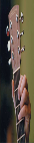 larivee guitar