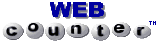 web counter